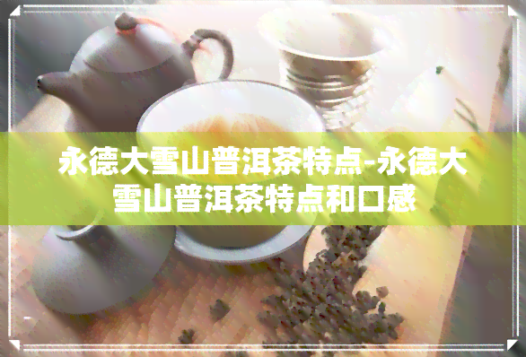 永德大雪山普洱茶特点-永德大雪山普洱茶特点和口感