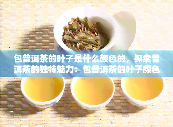 包普洱茶的叶子是什么颜色的，探索普洱茶的独特魅力：包普洱茶的叶子颜色解析