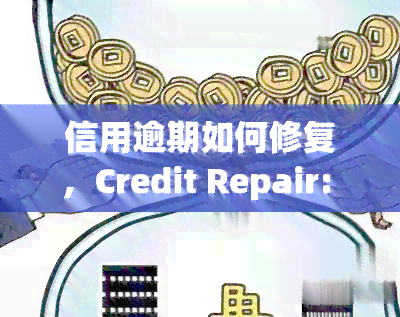 信用逾期如何修复，Credit Repair: How to Fix Late Payments