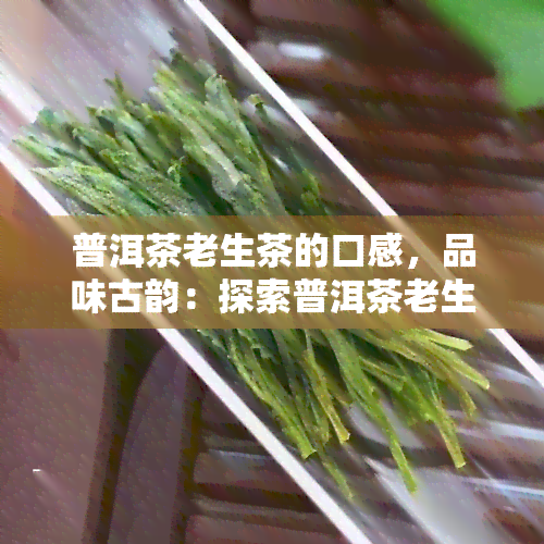 普洱茶老生茶的口感，品味古韵：探索普洱茶老生茶的独特口感