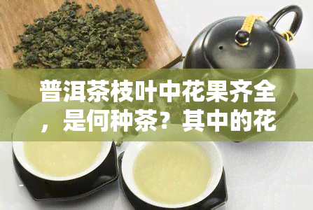 普洱茶枝叶中花果齐全，是何种茶？其中的花又是什么花？