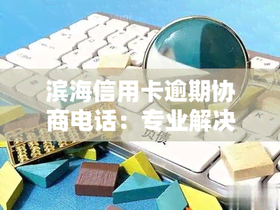 滨海信用卡逾期协商电话：专业解决您的还款难题！