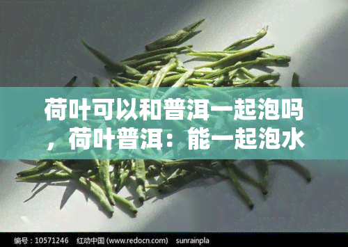 荷叶可以和普洱一起泡吗，荷叶普洱：能一起泡水喝吗？