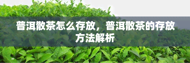 普洱散茶怎么存放，普洱散茶的存放方法解析