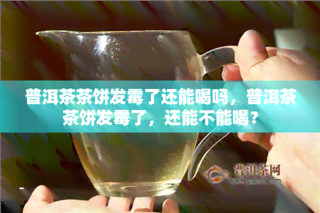 普洱茶茶饼发霉了还能喝吗，普洱茶茶饼发霉了，还能不能喝？