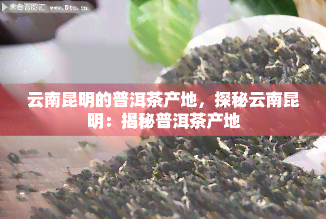 云南昆明的普洱茶产地，探秘云南昆明：揭秘普洱茶产地