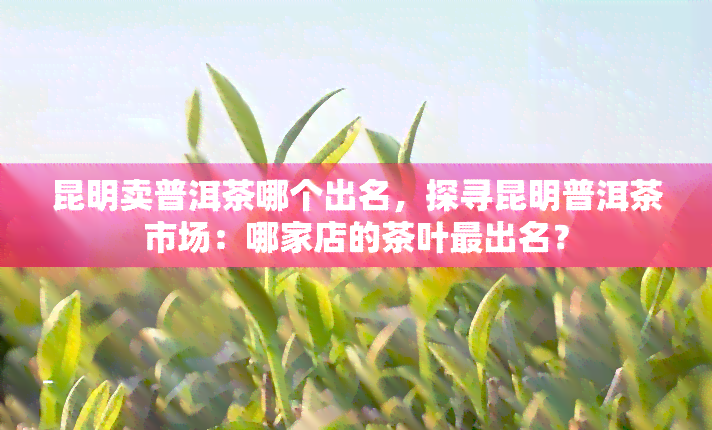 昆明卖普洱茶哪个出名，探寻昆明普洱茶市场：哪家店的茶叶最出名？