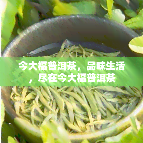 今大福普洱茶，品味生活，尽在今大福普洱茶