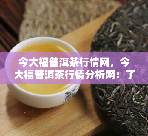 今大福普洱茶行情网，今大福普洱茶行情分析网：了解最新普洱茶市场动态