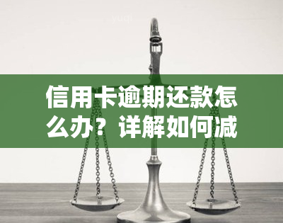 信用卡逾期还款怎么办？详解如何减少利息并恢复信用