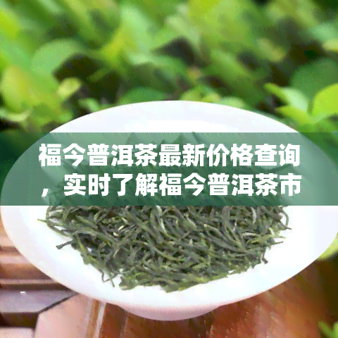 福今普洱茶最新价格查询，实时了解福今普洱茶市场价格，一键查询最新价！