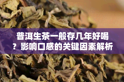 普洱生茶一般存几年好喝？影响口感的关键因素解析