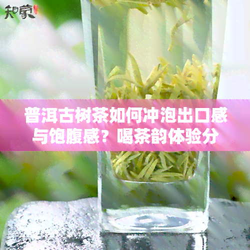 普洱古树茶如何冲泡出口感与饱腹感？喝茶韵体验分享