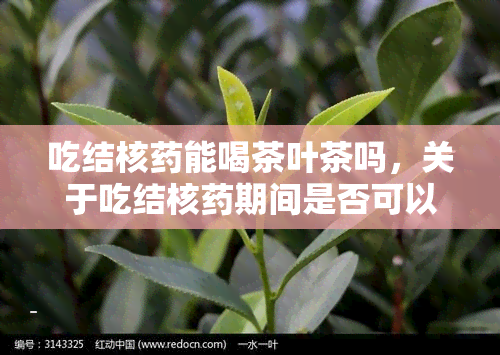 吃结核能喝茶叶茶吗，关于吃结核期间是否可以喝茶的问题