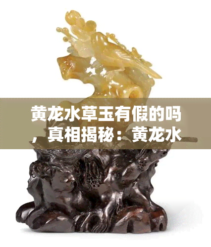 黄龙水草玉有假的吗，真相揭秘：黄龙水草玉是否存在假冒产品？