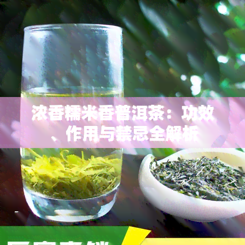 浓香糯米香普洱茶：功效、作用与禁忌全解析