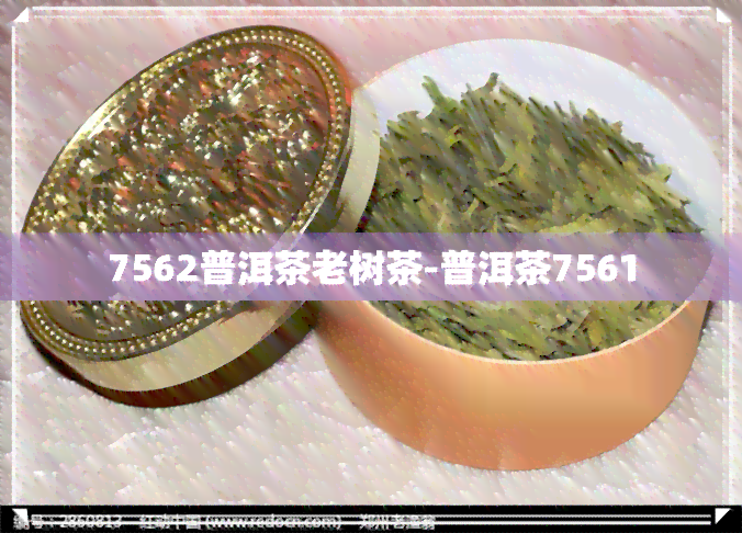 7562普洱茶老树茶-普洱茶7561