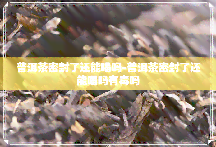 普洱茶密封了还能喝吗-普洱茶密封了还能喝吗有吗