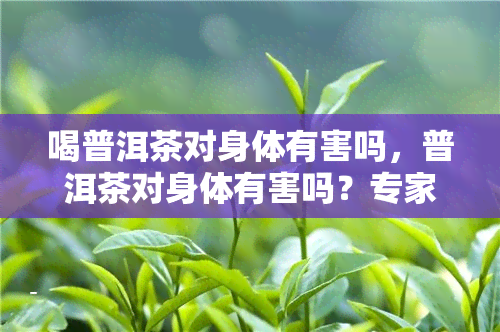 喝普洱茶对身体有害吗，普洱茶对身体有害吗？专家解析其健影响