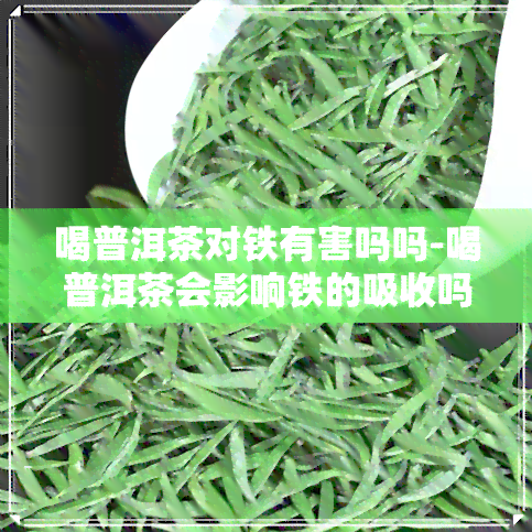 喝普洱茶对铁有害吗吗-喝普洱茶会影响铁的吸收吗