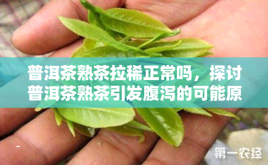 普洱茶熟茶拉稀正常吗，探讨普洱茶熟茶引发腹泻的可能原因与解决方案