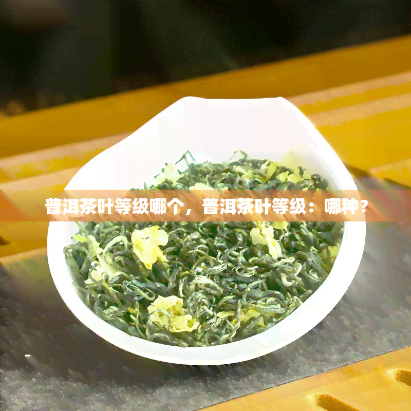 普洱茶叶等级哪个，普洱茶叶等级：哪种？