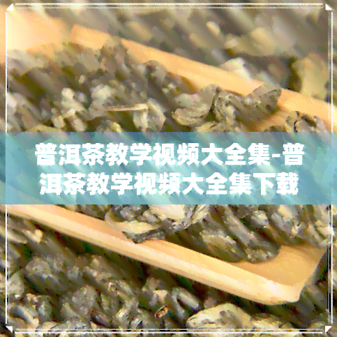 普洱茶教学视频大全集-普洱茶教学视频大全集下载