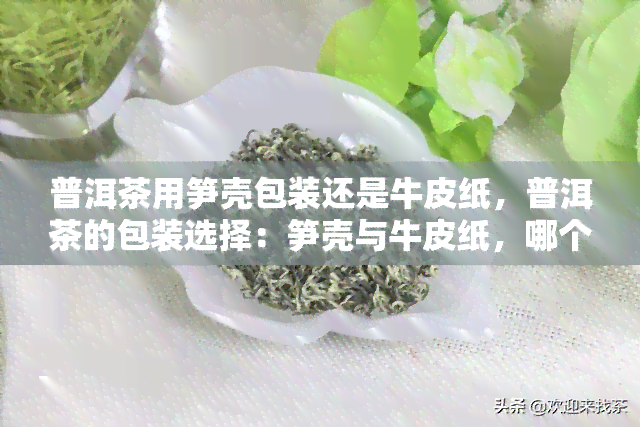 普洱茶用笋壳包装还是牛皮纸，普洱茶的包装选择：笋壳与牛皮纸，哪个更适合？