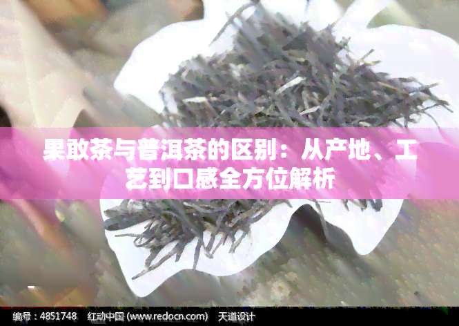 果敢茶与普洱茶的区别：从产地、工艺到口感全方位解析