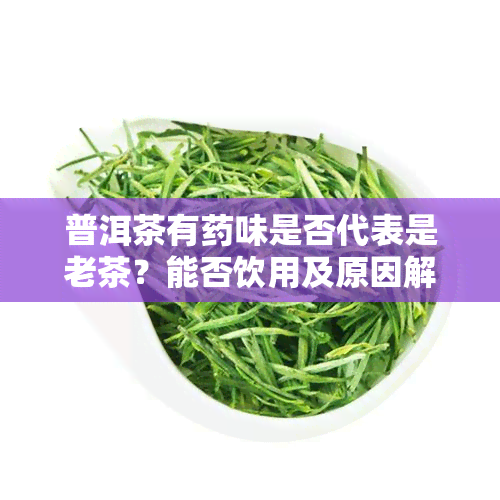 普洱茶有味是否代表是老茶？能否饮用及原因解析