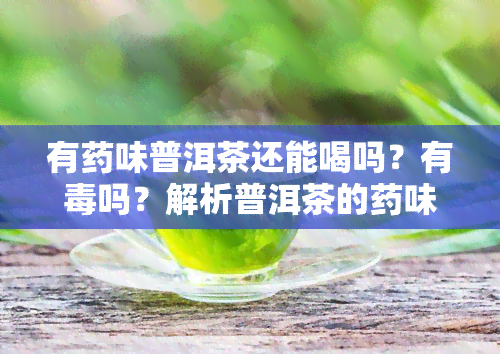 有味普洱茶还能喝吗？有吗？解析普洱茶的味特性与老茶的区别