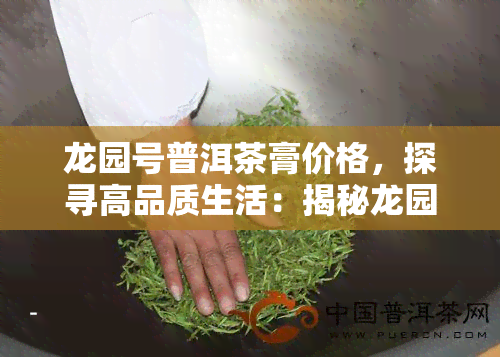 龙园号普洱茶膏价格，探寻高品质生活：揭秘龙园号普洱茶膏价格