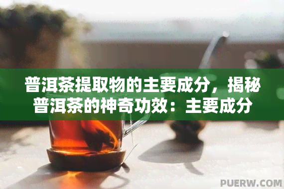 普洱茶提取物的主要成分，揭秘普洱茶的神奇功效：主要成分解析