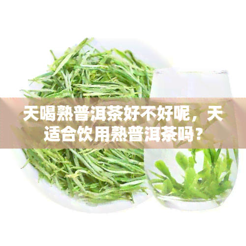 天喝熟普洱茶好不好呢，天适合饮用熟普洱茶吗？