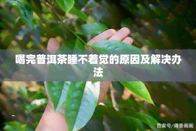 喝完普洱茶睡不着觉的原因及解决办法