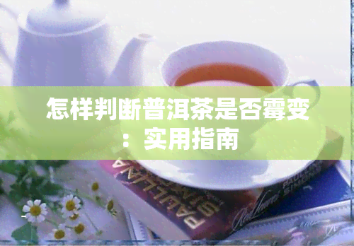 怎样判断普洱茶是否霉变：实用指南