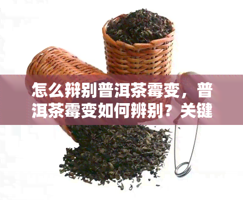 怎么辩别普洱茶霉变，普洱茶霉变如何辨别？关键技巧大揭秘！