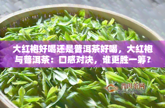 大红袍好喝还是普洱茶好喝，大红袍与普洱茶：口感对决，谁更胜一筹？