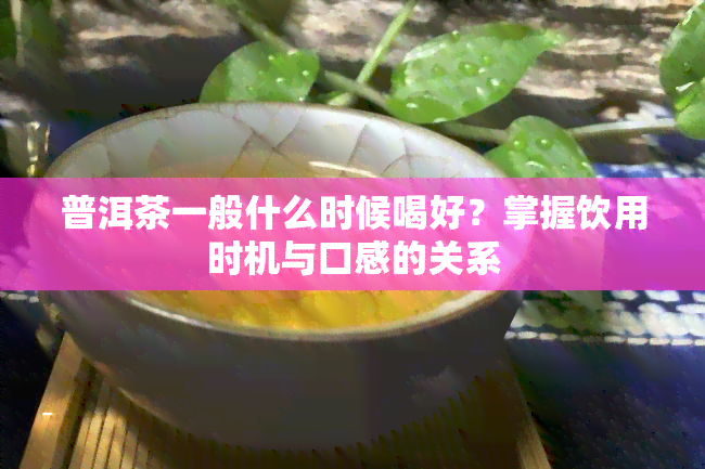 普洱茶一般什么时候喝好？掌握饮用时机与口感的关系