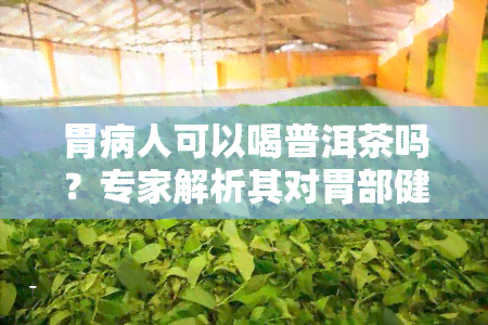 胃病人可以喝普洱茶吗？专家解析其对胃部健的影响