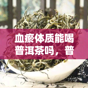 血瘀体质能喝普洱茶吗，普洱茶适合血瘀体质饮用吗？