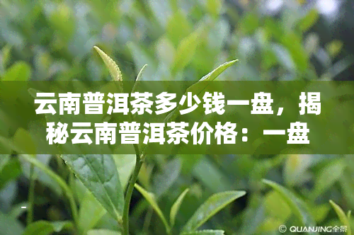 云南普洱茶多少钱一盘，揭秘云南普洱茶价格：一盘究竟值多少？