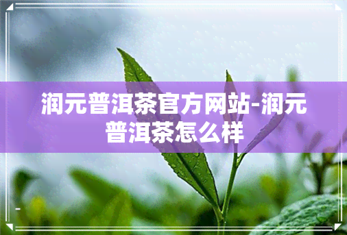 润元普洱茶官方网站-润元普洱茶怎么样