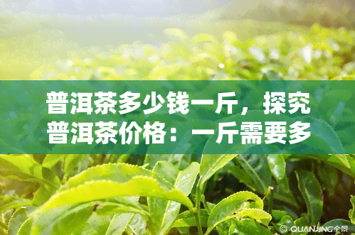 普洱茶多少钱一斤，探究普洱茶价格：一斤需要多少钱？