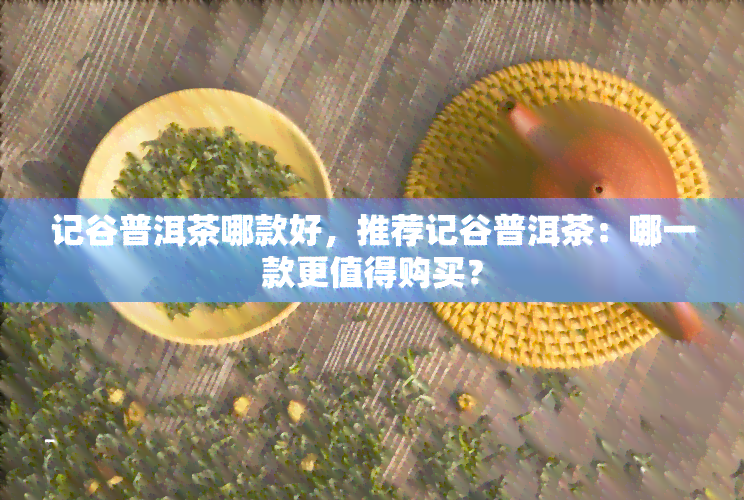 记谷普洱茶哪款好，推荐记谷普洱茶：哪一款更值得购买？