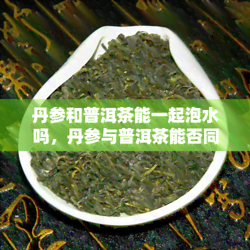 丹参和普洱茶能一起泡水吗，丹参与普洱茶能否同泡？详解其功效与饮用方法