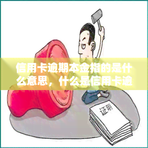 信用卡逾期本金指的是什么意思，什么是信用卡逾期本金？含义解读