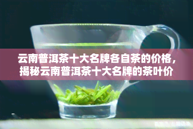 云南普洱茶十大名牌各自茶的价格，揭秘云南普洱茶十大名牌的茶叶价格！