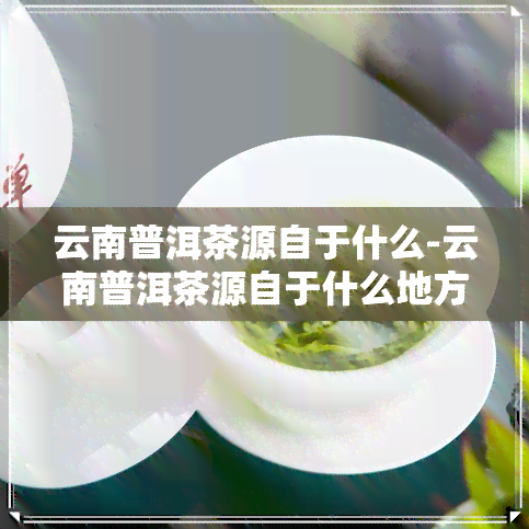 云南普洱茶源自于什么-云南普洱茶源自于什么地方