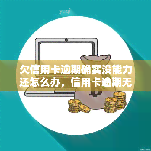 欠信用卡逾期确实没能力还怎么办，信用卡逾期无力偿还？解决方案大揭秘！